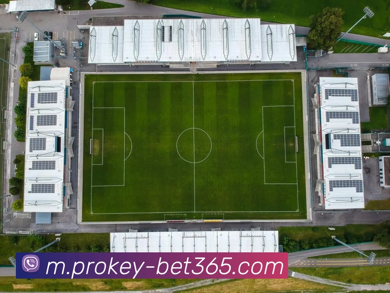 bet365APP 高清赛事图